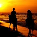 marriage counselor chicago