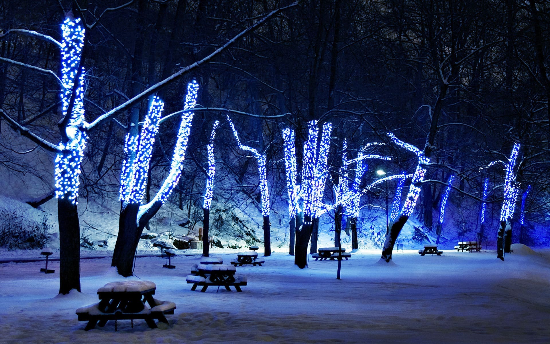 seasonal affective disorder sad counseling articles