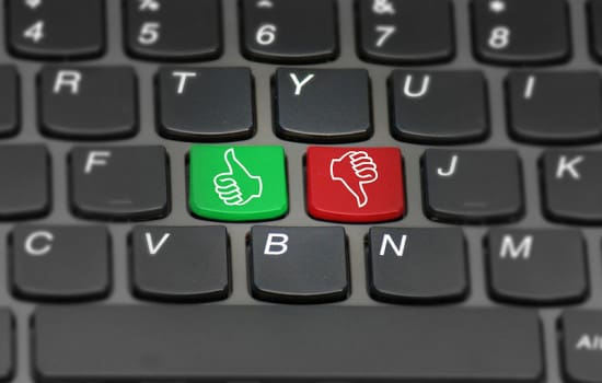 employer surveys cyberbully