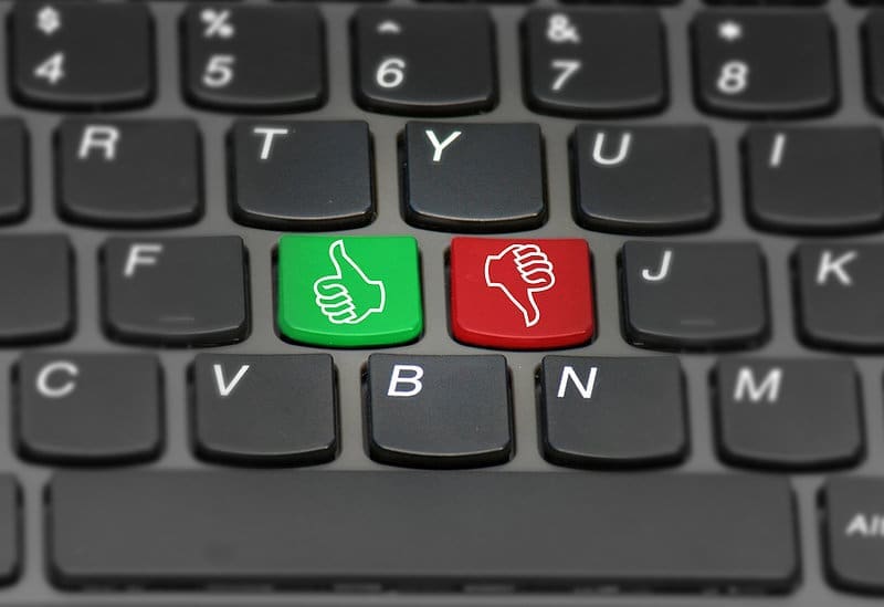 employer surveys cyberbully