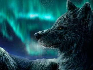 what is my animal spirit