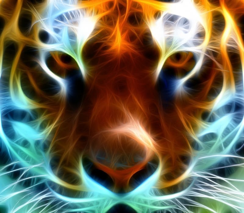 tiger substance abuse chicago