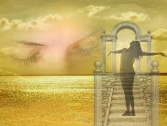womans therapist therapist for women chicago