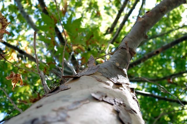 5 ways to cope with the loss of summer
