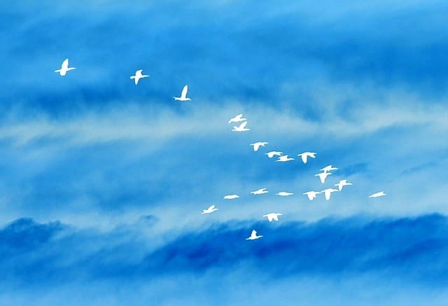addictions in chicago addiction counseling chicago
