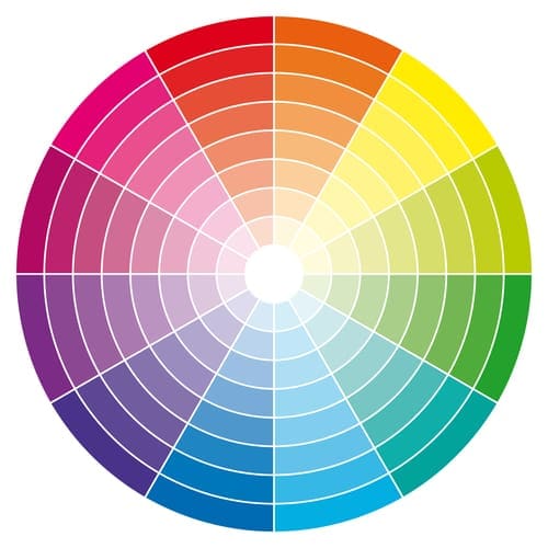 wellness wheel