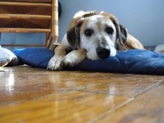 after holiday blues