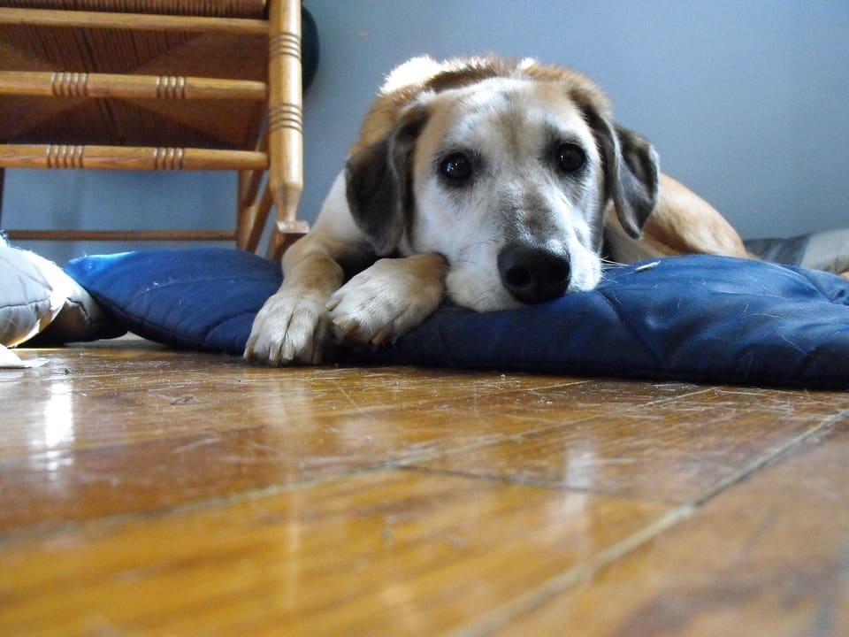 after holiday blues