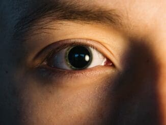 trauma informed therapist chicago